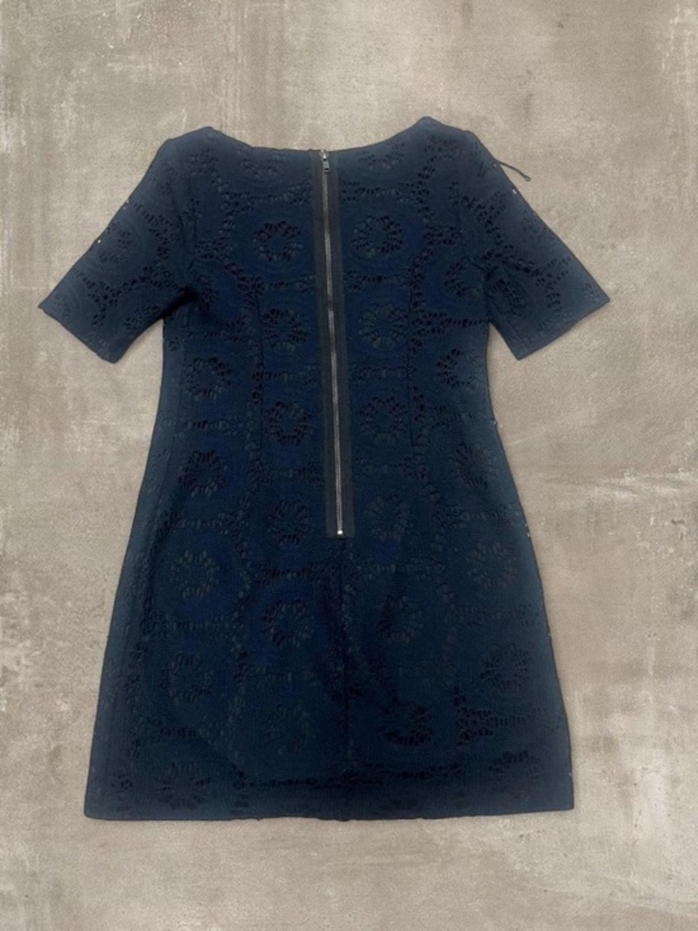 Adrianna Papell Petite Black Lace Dress 4P Short Sleeve Zip Back Elegant